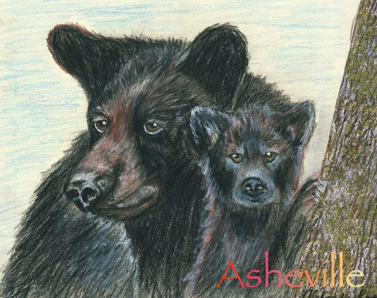 Asheville Mom and Baby Bears Magnet