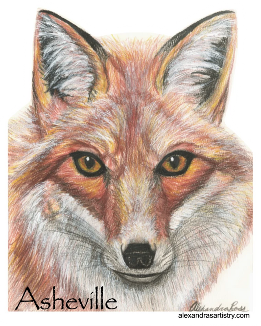 Fox with Asheville