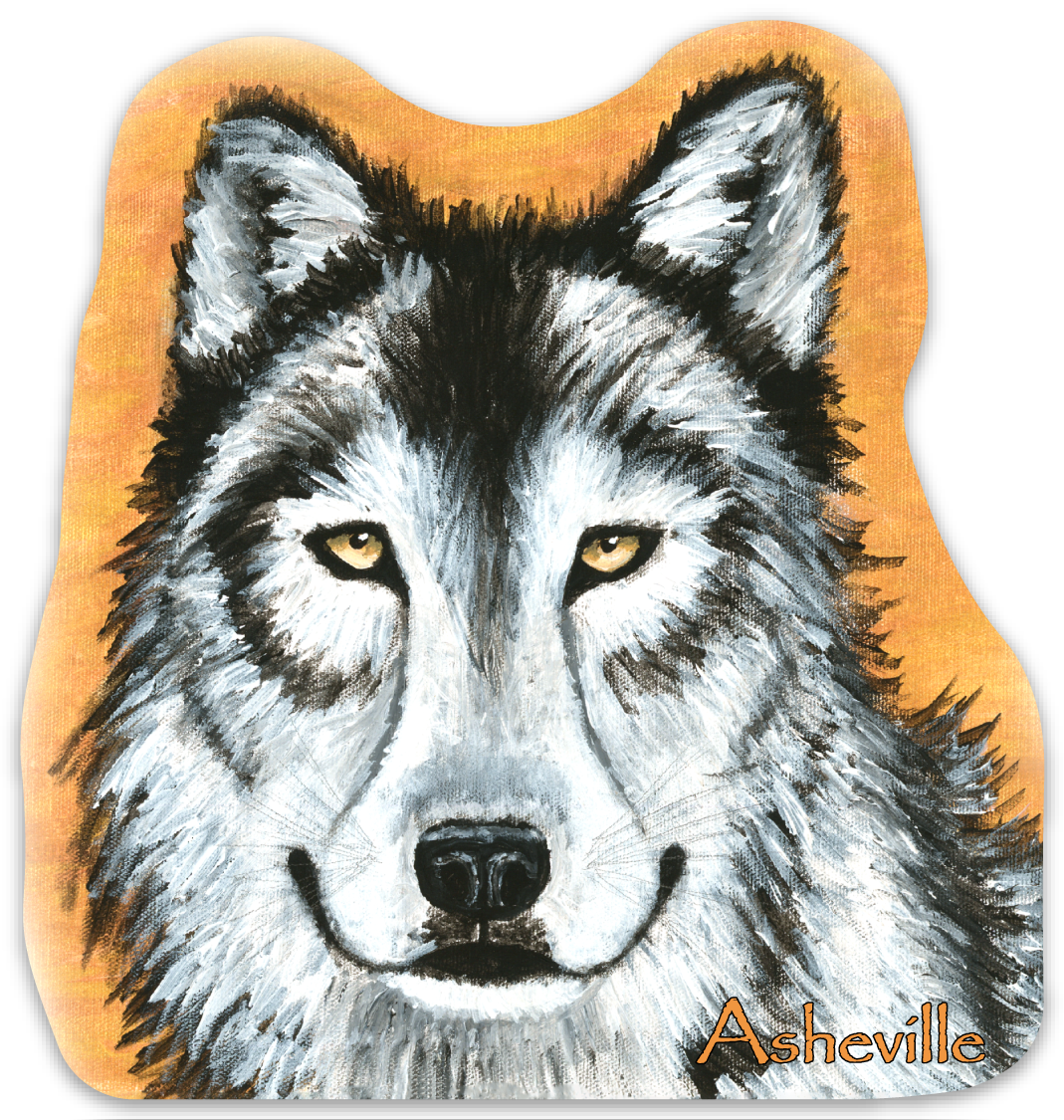 Wolf with Asheville